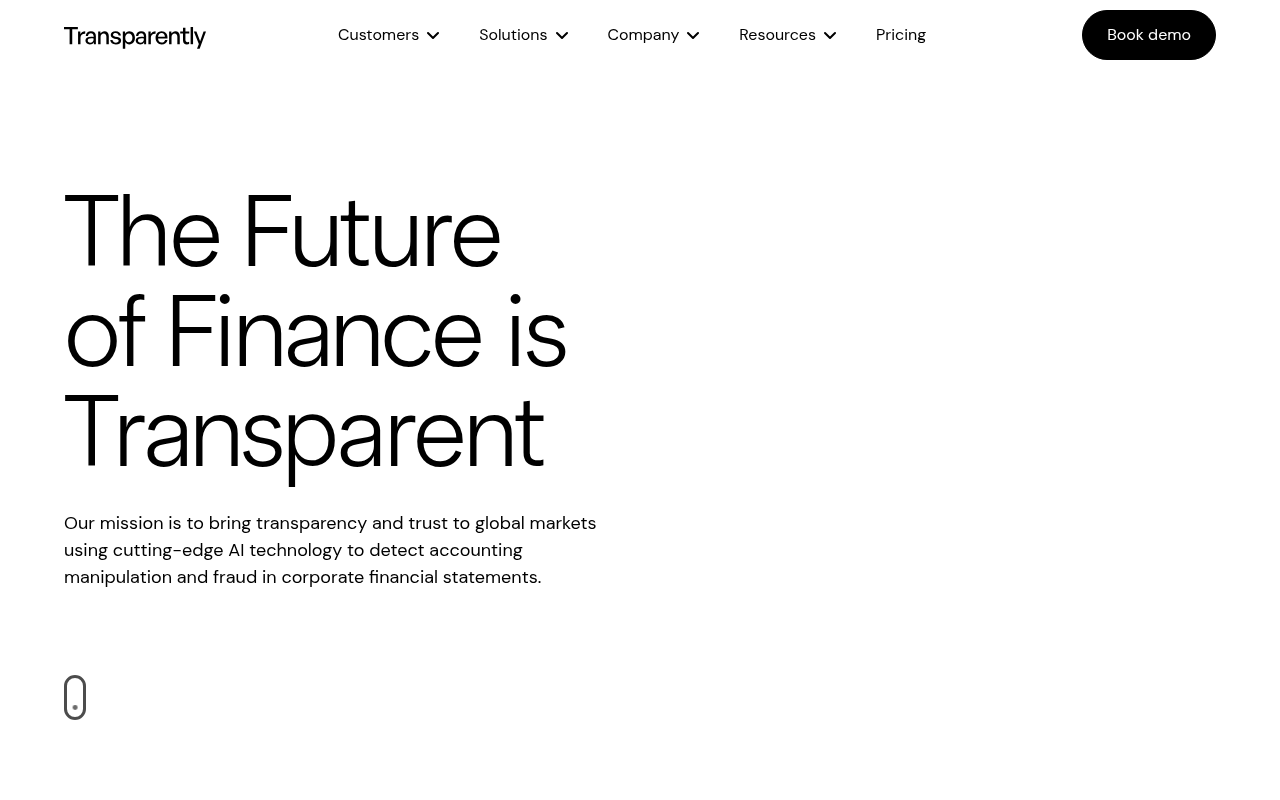 Screenshot of Transparently.AI: AI-Powered Accounting Fraud Detection