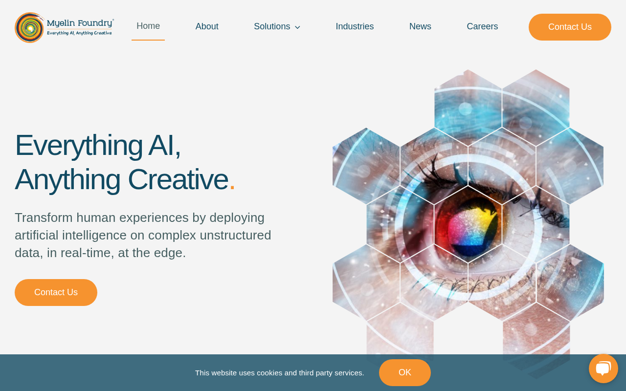 Screenshot of Myelin Foundry: Edge AI Solutions for Real-Time Business Insights