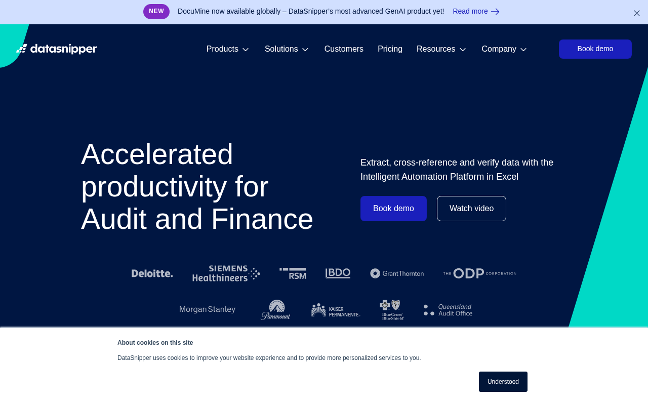 Screenshot of DataSnipper Review: Supercharge Your Audit & Finance Workflow in Excel
