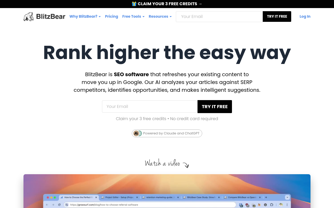 Screenshot of BlitzBear: AI-Powered SEO Content Optimization for Higher Rankings