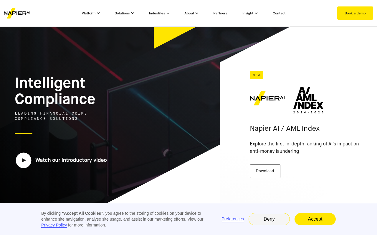 Screenshot of Napier AI Review: AI-Powered AML Platform for Enhanced Financial Security