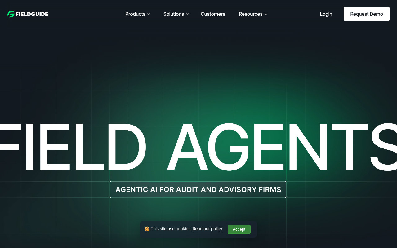 Screenshot of Fieldguide AI: Revolutionizing Audit & Advisory Workflows